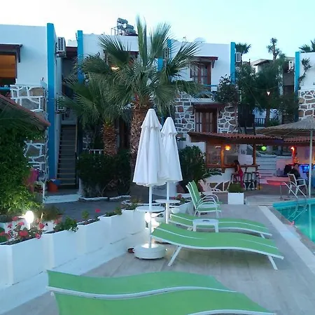 Dasis Bodrum