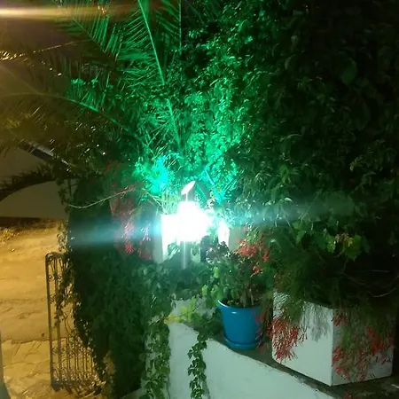 Dasis Bodrum