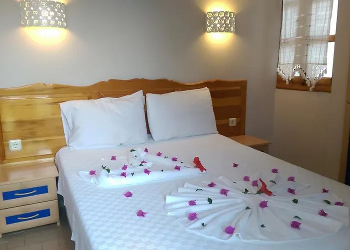 Dasis Bodrum