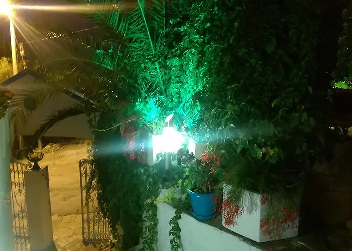 Dasis Bodrum