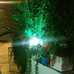 Dasis Bodrum