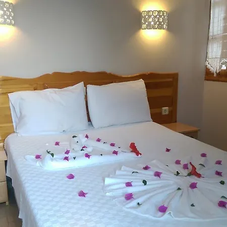 Dasis Bodrum